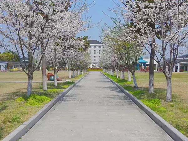 园区小景
