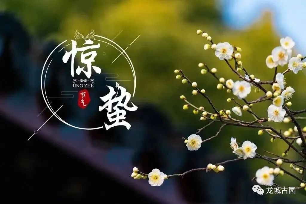 微信图片_20210305154450